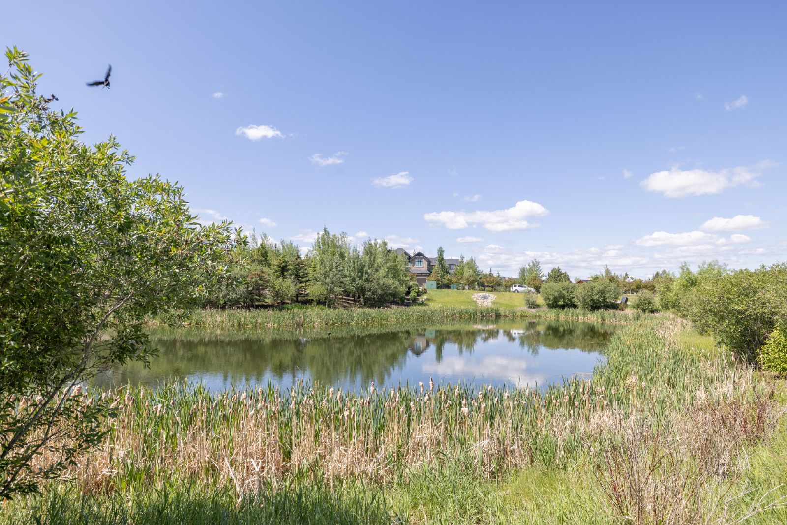 19 Watermark Avenue - NR - - property image