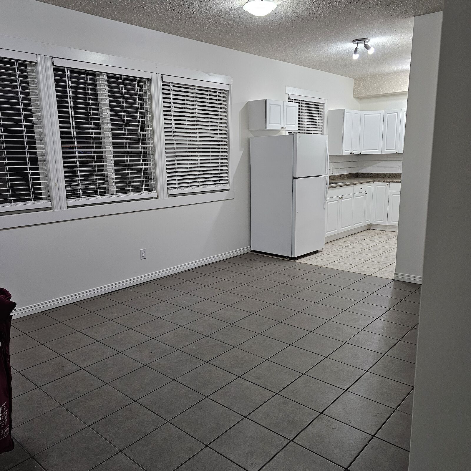 STONY PLAIN RECENTLY UPDATED 2 BEDROOM CONDO property image