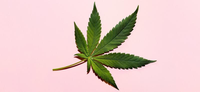 Cannabis Act