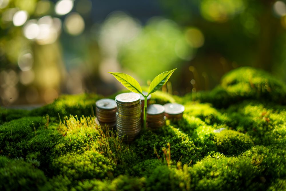 Understanding Your Condo Reserve Fund