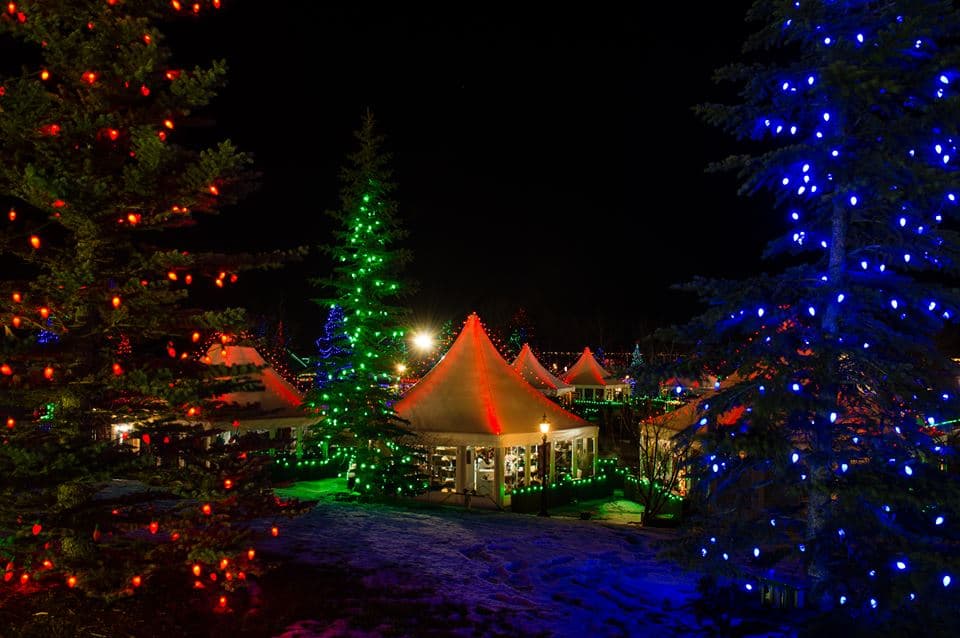 Spruce meadows best sale lights 2020