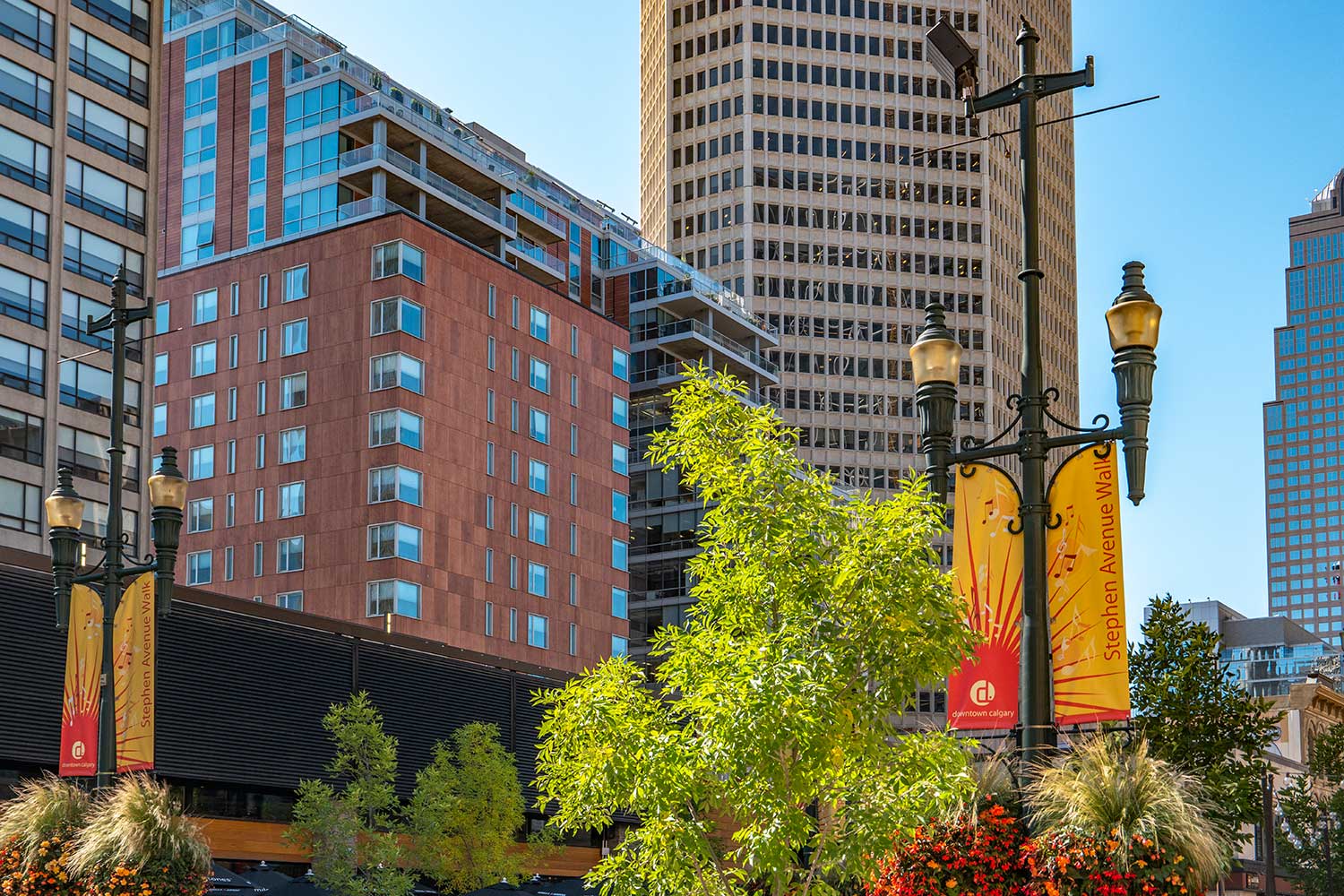 downtown 10
