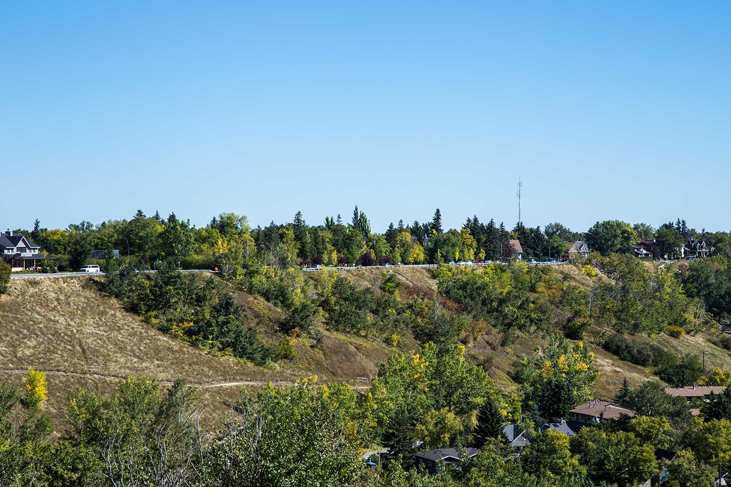 Rosedale 2