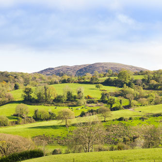 View of Rolling Hills